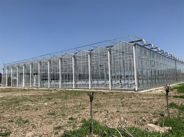 玻璃溫室的設(shè)計原則有哪些